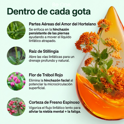 Be One. – Desintoxicación Linfatica de Forma Natural